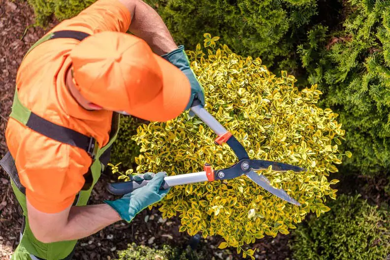Skilled Landscaping