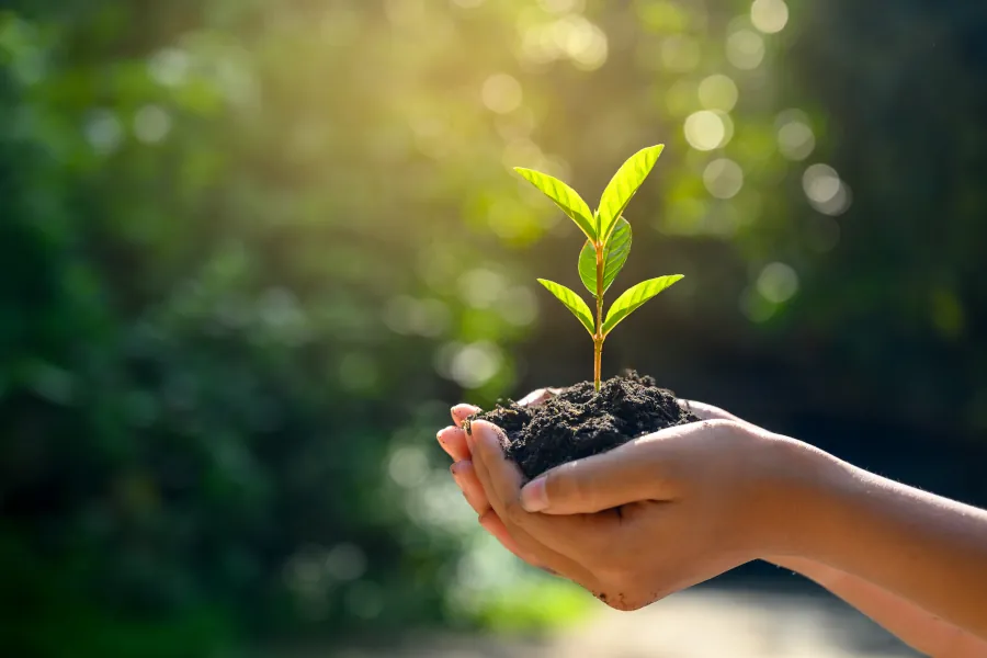Landscaping Company